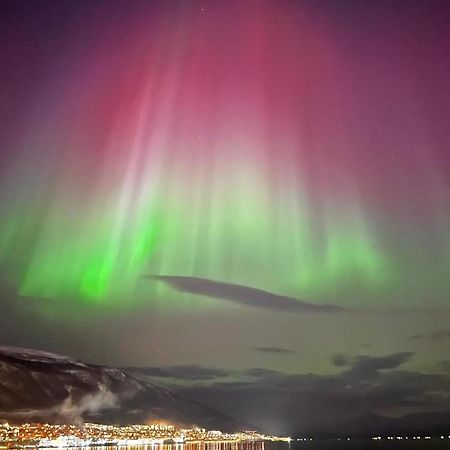 Rom Sentralt I Tromso Apartment Exterior photo